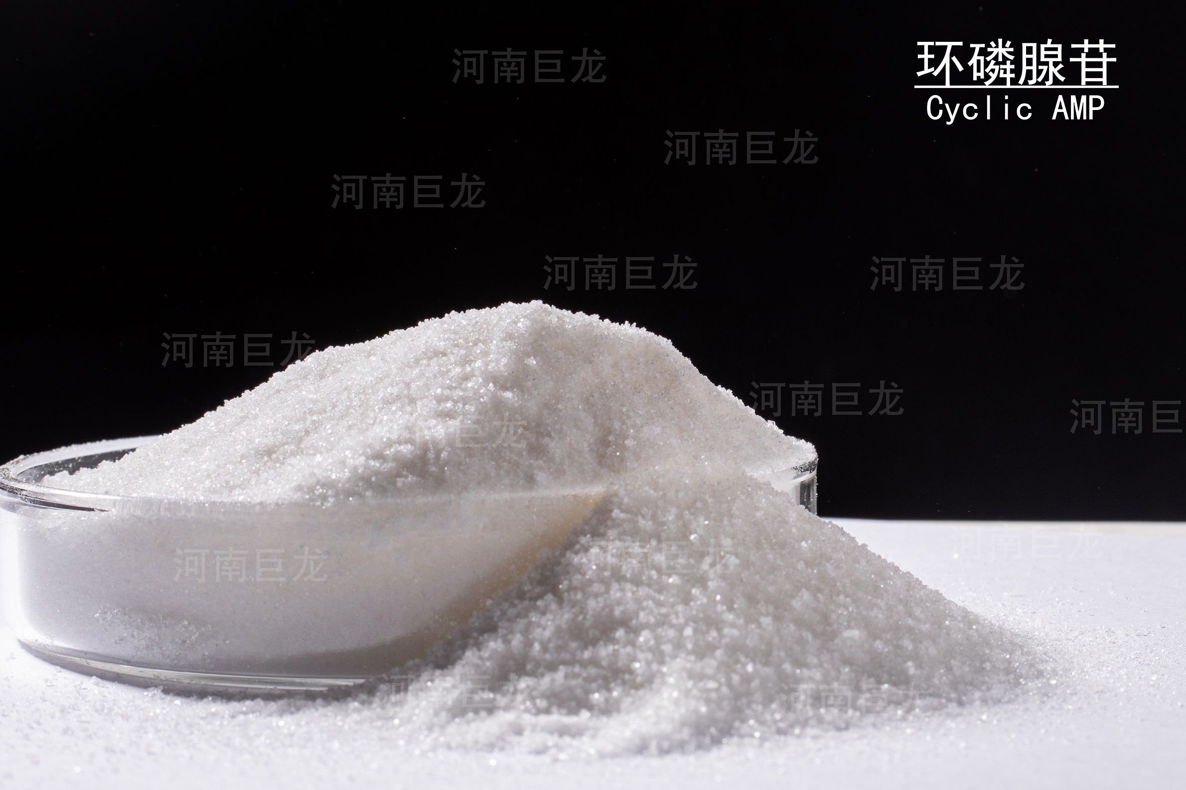 環(huán)磷腺苷